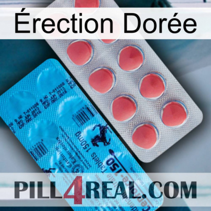 Érection Dorée new14